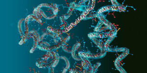 what are peptides