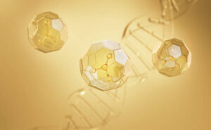 what are peptide bonds