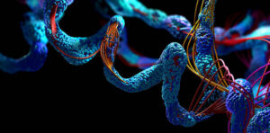 Chain of amino acid or bio molecules called protein peptide bonds - 3d illustration